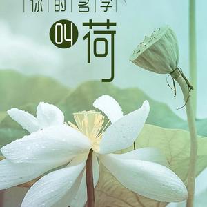 我的老家叫新镇