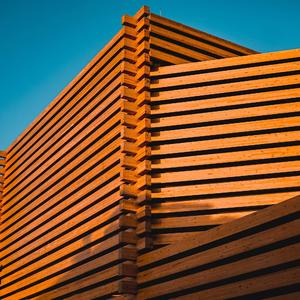 Lueurs Dorées dans le Hall（大堂里的金色微光）