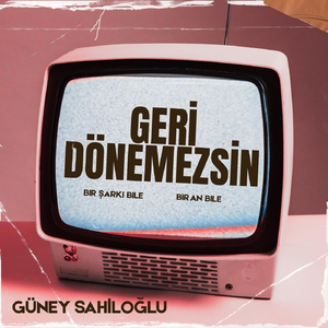 Geri Dönemezsin