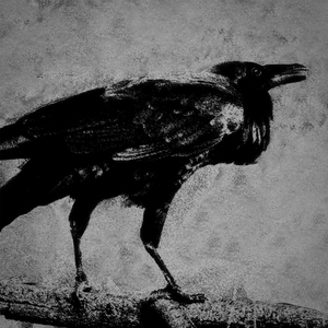 ravena (Slowed)