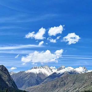 秋叶落尽大雪飞