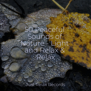 Splendorous Cascade Symphony