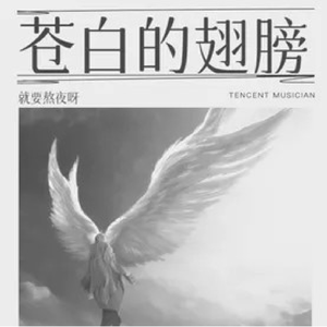 苍白的翅膀(伴奏）