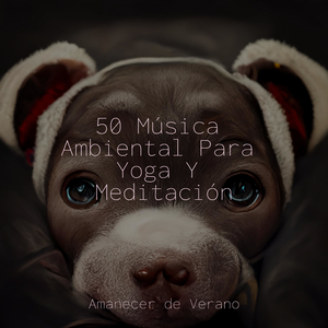 Melancolía Encantada de Medianoche