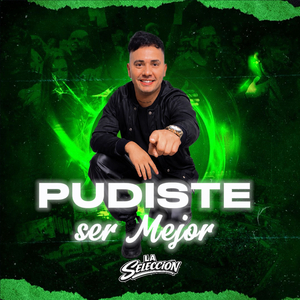 Pudiste ser mejor