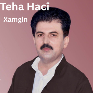 Xamgin