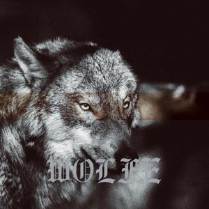 Wölfe