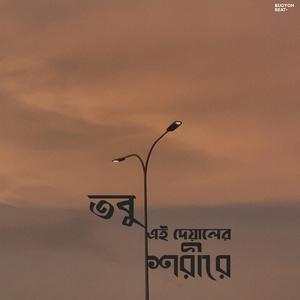 তবু এই দেয়ালের শরীরে