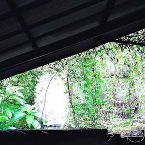 抛弃过去太难我做不到