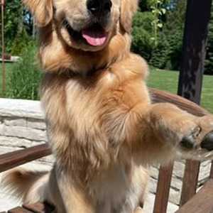 Stand in Flame (sped up)