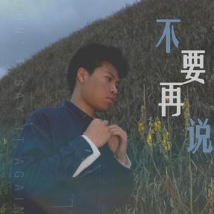 不要再说（Don't say again）