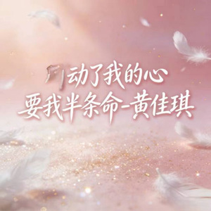 动了我的心要我半条命 (DJ阿柱版)