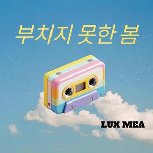부치지 못한 봄