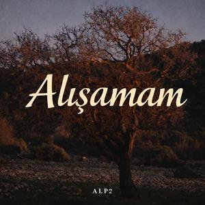 Alışamam