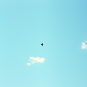 誰かの評価に縛られなくていい「自分の人生、自分が決める」