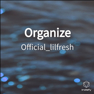 Organize (Instrumental Version)