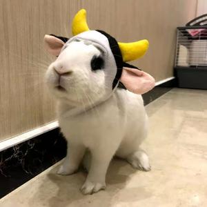 如愿（cover王菲）