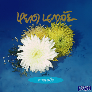 เชียงใหม่