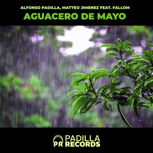 Aguacero De Mayo (feat. Fallom) (Original Mix)