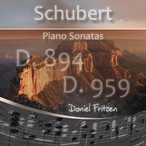 Piano Sonata in G Major, D. 894: II. Andante (Live)