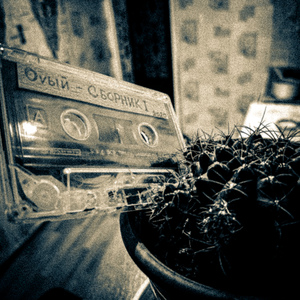 Библиотека