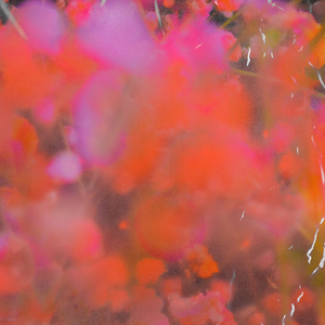 Muscaria (Cravo Remix)