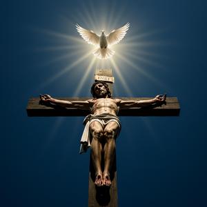 Gratias tibi, Francisce, pro amore et humilitate tua