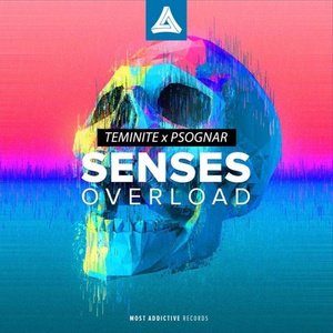 Senses Overload (FEEN Remix)