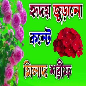হৃদয় জুড়ানো কন্টে মিলাদ শরীফ