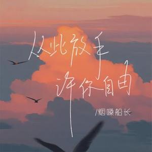 从此放手许你自由 (猎人DJ轩仔版)