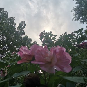 你值得被坚定选择