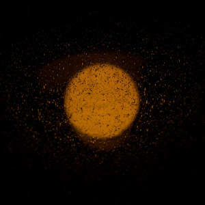 Losing MyHeart (Side-A)