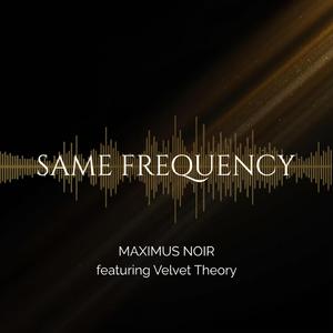 Same Frequency (feat. Velvet Theory)