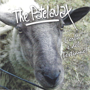 Gino dal veneto (Live)