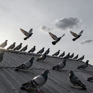 灰(Prod.Eee.T&Bickyboy）