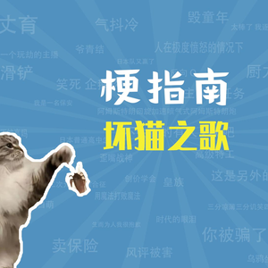 坏猫之歌是什么梗【梗指南】