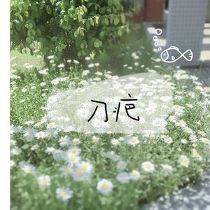 刀疤