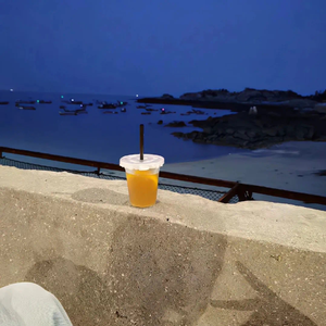 离岸（女声版翻自苏晗）