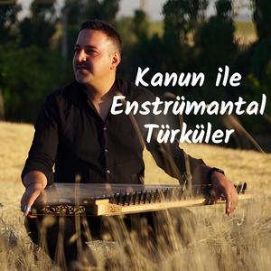 İki Keklik Bir Kayada Ötüyor