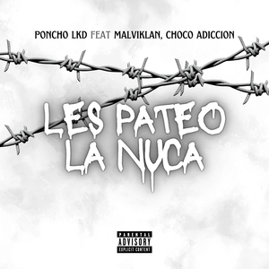 Les Pateo la Nuca