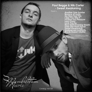 I See You Like It (Original Mix)