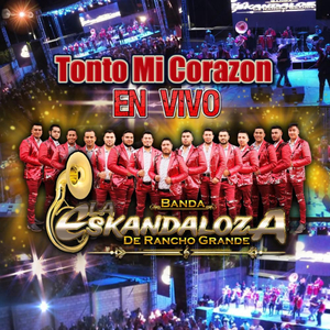 Tonto Mi Corazón (En Vivo)