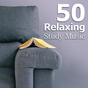 Symphony No. 1 in B-Flat Major, Op. 38 "Spring": II. Larghetto