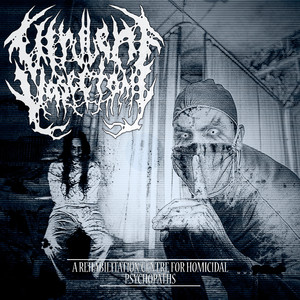 Phocomelia by a Thalidomide Effect