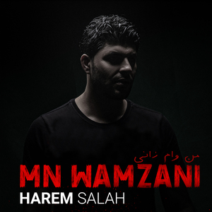 Mn Wamzani