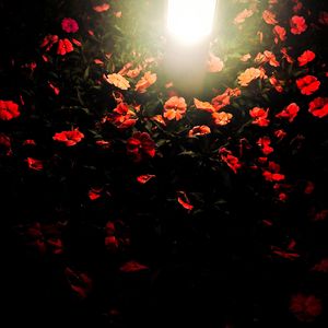 Rush of Life（PIANO）