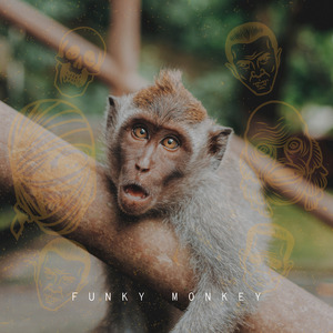 Funky Monkey