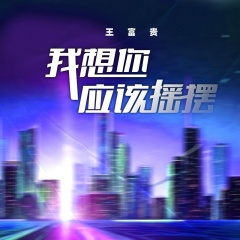 我想你应该摇摆 (DJ版)