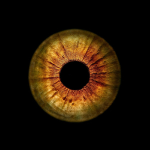 Unlucky Eyes (Dee Universe Remix)