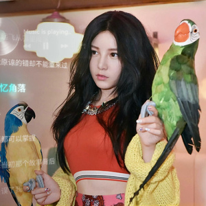 爱错